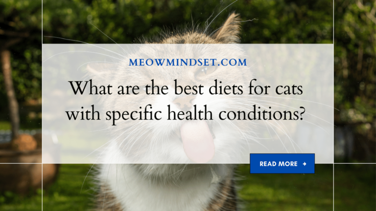 What are the best diets for cats with specific health conditions?
