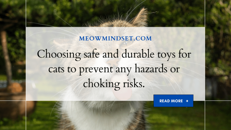 Choosing safe and durable toys for cats to prevent any hazards or choking risks.