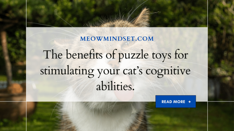 The benefits of puzzle toys for stimulating your cat’s cognitive abilities.