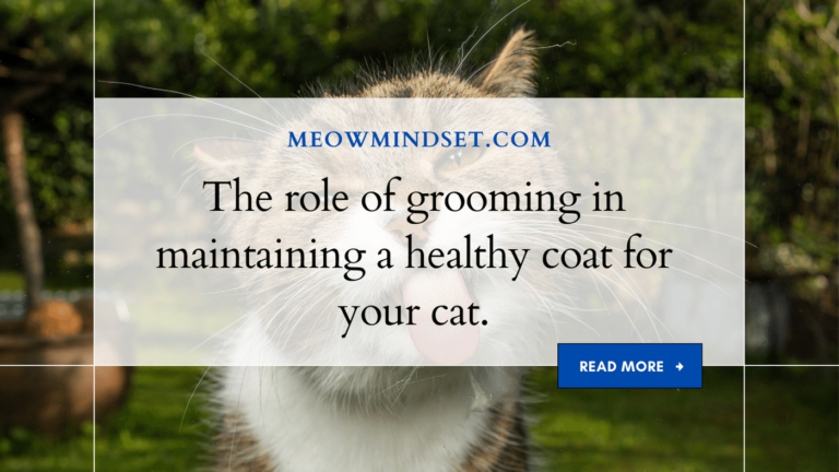 The role of grooming in maintaining a healthy coat for your cat.
