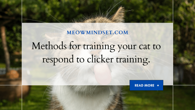 Methods for training your cat to respond to clicker training.
