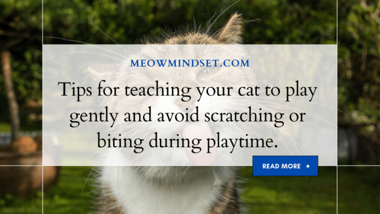 Tips for teaching your cat to play gently and avoid scratching or biting during playtime.