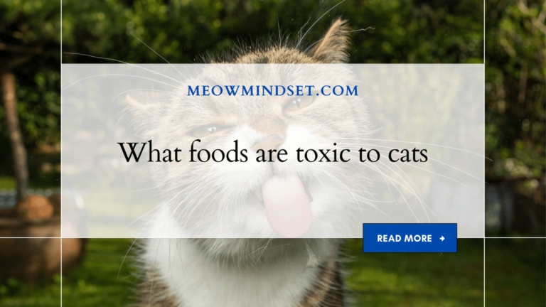what foods are toxic to cats