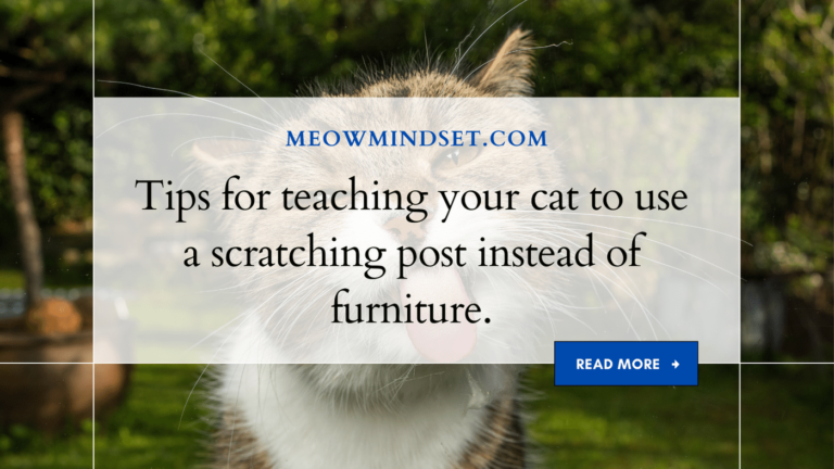 Tips for teaching your cat to use a scratching post instead of furniture.